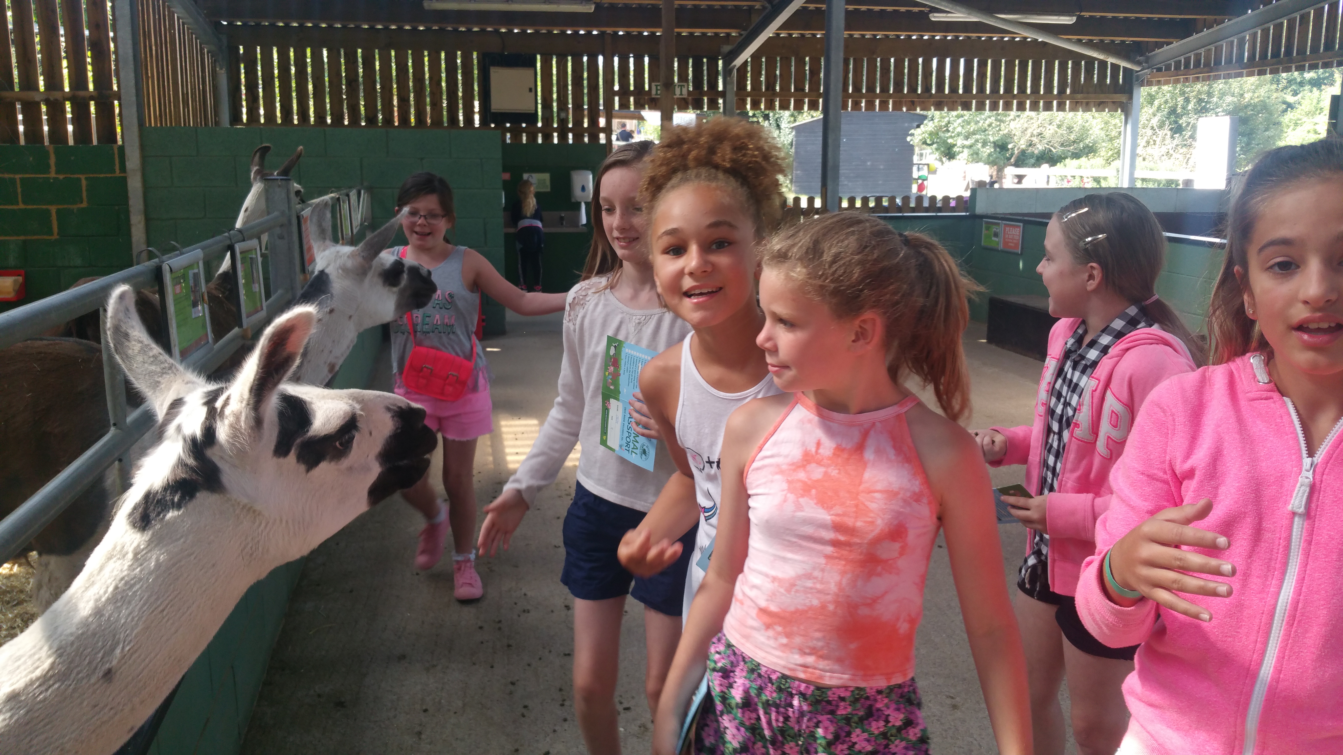 Summer 2016 Junior Holiday Scheme